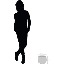 Abbildung einer Pflanzschale mit den Maßen 11,5 cm Breite und 8,5 cm Höhe als Größenvergleich zu einer menschlichen Silhouette.
