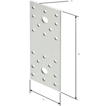 Flachverbinder BB Stanz 100x20 mm sendzimirverzinkt 1 Stück