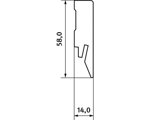 Abmessungen eines Sockelleistenprofils: 58,0 x 14,0 Millimeter