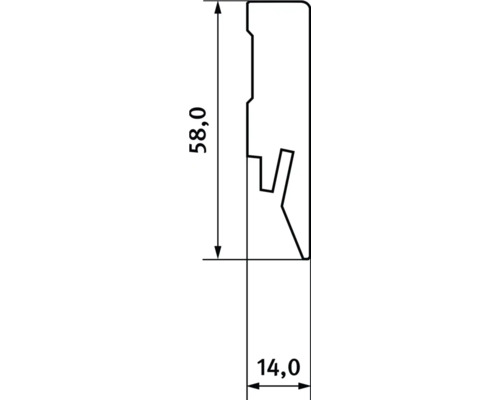 Abmessungen eines Profils: 58,0 x 14,0 Millimeter