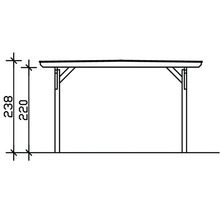 Einzelcarport SKAN HOLZ Odenwald inkl. Pfostenanker 428 x 541 cm anthrazit