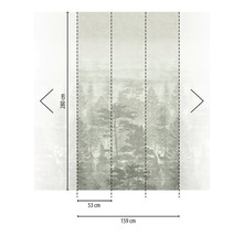 Fototapete mit Waldmotiv, Abmessungen 280 mal 159 Zentimeter
