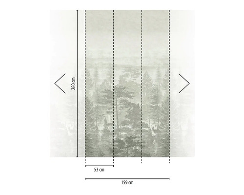 Fototapete mit Waldmotiv, Abmessungen 280 mal 159 Zentimeter