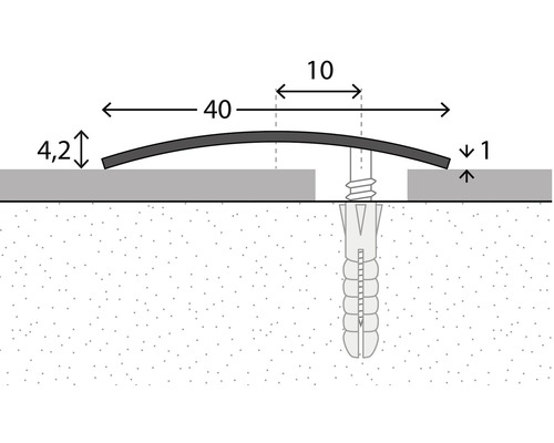 Illustration einer Schraube mit Dübel mit einer Länge von 40 Millimetern und einer Höhe von 4,2 Millimetern