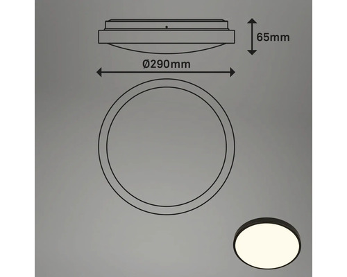 Technische Zeichnung einer Deckenleuchte mit den Maßen 290 mm Durchmesser und 65 mm Höhe