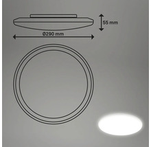 Technische Zeichnung einer Deckenleuchte mit einem Durchmesser von 290 Millimeter und einer Höhe von 55 Millimeter.