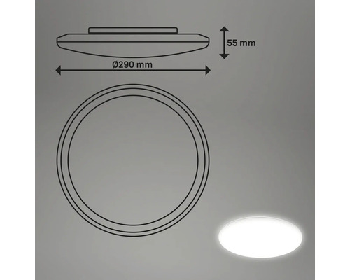 Technische Zeichnung einer Deckenleuchte mit einem Durchmesser von 290 Millimeter und einer Höhe von 55 Millimeter.