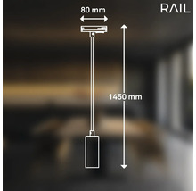 Zeichnung einer Rail Pendelleuchte mit den Maßen 80 mm und 1450 mm.