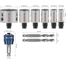 Bosch Pro Lochsägenset mit Expert Aufnahme und Zentrierbohrer