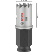 Bosch Lochsäge mit 19 Millimeter Durchmesser und 20 Millimeter Höhe