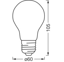 Skizze einer Glühbirne mit Maßangaben