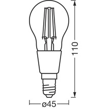Skizze einer Glühbirne mit den Maßen 110 mm Länge und 45 mm Durchmesser