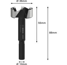 Forstnerbohrer mit 36 Millimeter Durchmesser und 10 Millimeter Schaft von Bosch Expert
