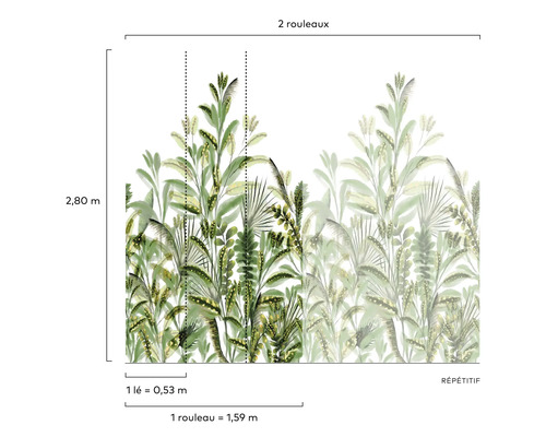 Abbildung der Maße einer Fototapete mit Pflanzenmotiven.