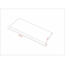 Schematische Darstellung eines Regalbords mit den Maßen 65 cm Länge, 25 cm Breite und 3 cm Dicke.