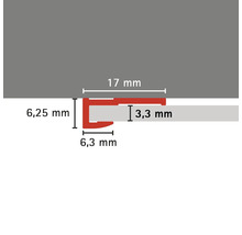 Profilleiste mit den Maßen 17 mm, 6,25 mm, 6,3 mm und 3,3 mm.