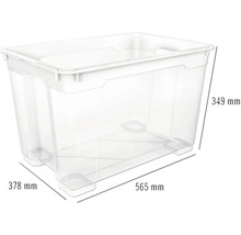 Transparente Aufbewahrungsbox mit den Maßen 565 mm x 378 mm x 349 mm