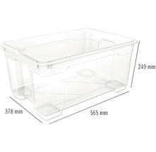 Aufbewahrungsbox aus Kunststoff mit den Maßen 565 mm x 378 mm x 249 mm