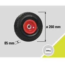 Rad mit einem Durchmesser von 260 Millimeter und einer Traglast von 200 Kilogramm