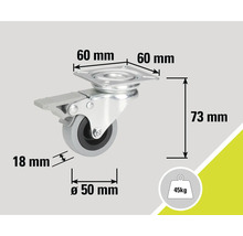 Lenkrolle mit Feststeller und Maßangaben: 60 mm, 73 mm, 18 mm, Durchmesser 50 mm, 45 kg Traglast