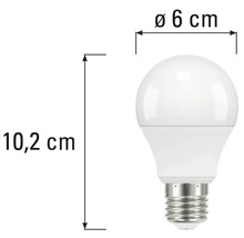 Abbildung einer Glühbirne mit den Maßen 10,2 Zentimeter Höhe und 6 Zentimeter Durchmesser.