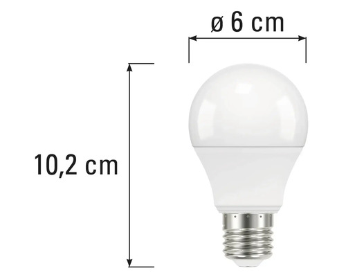 Abbildung einer Glühbirne mit den Maßen 10,2 Zentimeter Höhe und 6 Zentimeter Durchmesser.
