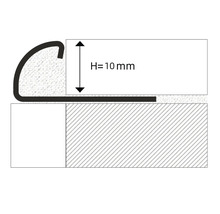 Profilskizze für ein 10 Millimeter hohes Übergangsprofil