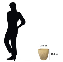 Blumentopf mit Größenangaben als Referenz für die Pflanzgefäßgröße