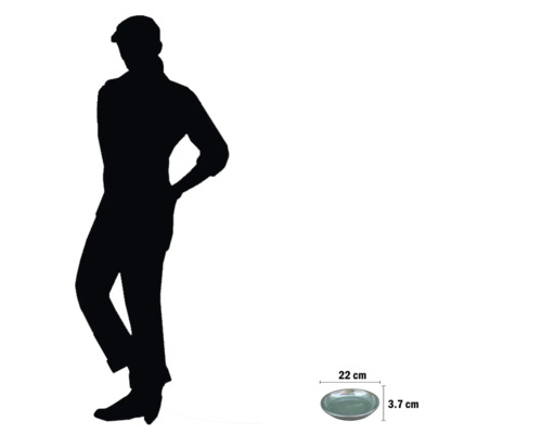 Abmessungen eines Keramiktellers: 22 Zentimeter Durchmesser und 3,7 Zentimeter Höhe.