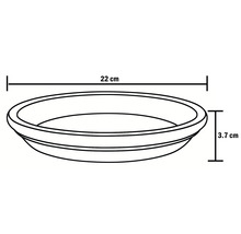 Zeichnung einer Pflanzschale mit den Maßen 22 cm Länge und 3,7 cm Höhe