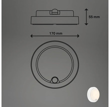 Technische Zeichnung einer runden Leuchte mit den Maßen 170 mm Durchmesser und 55 mm Höhe.