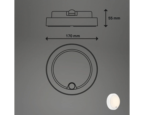 Technische Zeichnung einer runden Leuchte mit den Maßen 170 mm Durchmesser und 55 mm Höhe.