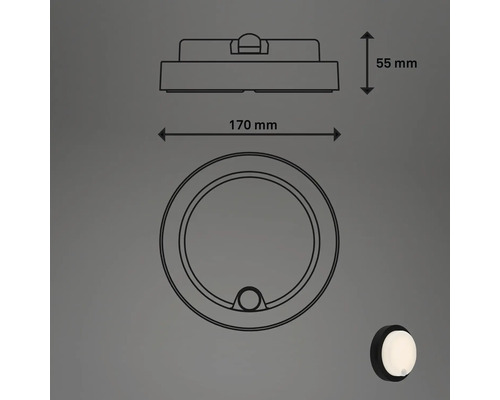 Technische Zeichnung einer Wandleuchte mit den Maßen 170 mm Breite und 55 mm Höhe.