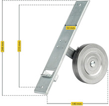 Leiterrolle mit Halterung und den Maßen 244 mm, 50 mm, 215 mm und 140 mm