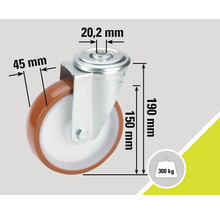 Lenkrolle mit den Maßen 190 mm Höhe, 45 mm Breite, 20,2 mm Durchmesser der Befestigungsplatte und maximaler Traglast von 300 kg