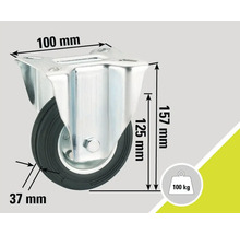 Lenkrolle mit den Maßen 100 mm x 157 mm und einer Traglast von 100 kg