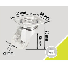 Möbelrolle mit einer Traglast von 40 Kilogramm und den Maßen 60 mal 60 mal 73 Millimeter
