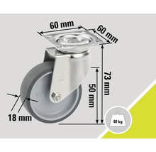 Lenkrolle mit den Maßen 60 mm, 18 mm und 73 mm und einer Traglast von 40 kg