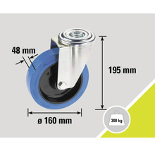 Lenkrolle mit einem Durchmesser von 160 mm, einer Radbreite von 48 mm und einer Traglast von 300 kg