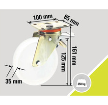 Lenkrolle mit Feststeller, Abmessungen und Belastbarkeit 350 kg.