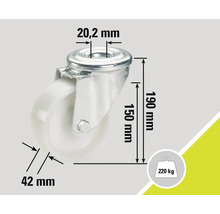 Lenkrolle mit den Maßen 20,2 mm, 150 mm, 190 mm und 42 mm, Traglast 220 kg