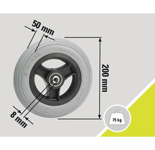 Rad mit den Maßen 50 mm, 8 mm und 200 mm, maximale Belastung 75 kg