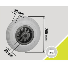 Rad mit den Maßen 200 mm x 50 mm und einer Tragfähigkeit von 75 kg