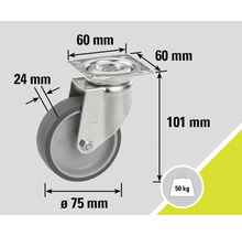 Lenkrolle mit den Maßen 60 mm x 60 mm, Raddurchmesser 75 mm, Radbreite 24 mm und einer Höhe von 101 mm, Traglast 50 kg