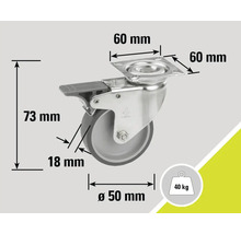 Lenkrolle mit Feststeller und den Maßen 60 x 60 Millimeter, 73 Millimeter Höhe und 50 Millimeter Durchmesser, Traglast 40 Kilogramm