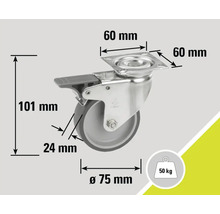 Lenkrolle mit Feststeller, 75 mm Raddurchmesser, 50 kg Tragkraft