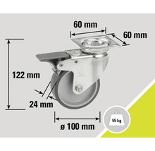 Lenkrolle mit Feststeller und den Maßangaben 122 mm Höhe, 100 mm Raddurchmesser und 55 kg Traglast