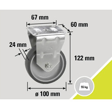 Rolle mit den Maßen 67 mm x 60 mm, Höhe 122 mm, Raddurchmesser 100 mm und Tragfähigkeit 55 kg