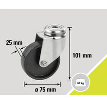 Rolle mit den Maßen 75 mm Durchmesser, 25 mm Breite und 101 mm Höhe, Traglast 60 Kilogramm