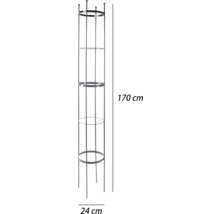 Pflanzenstütze mit einer Höhe von 170 Zentimeter und einer Breite von 24 Zentimeter.